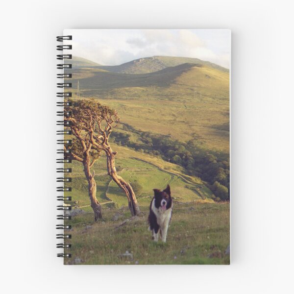 Item preview, Indy on Dinas designed and sold by Michael Haslam.