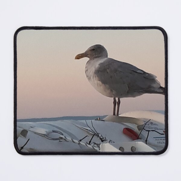 Item preview, Resting seagull designed and sold by CsillaRosales.