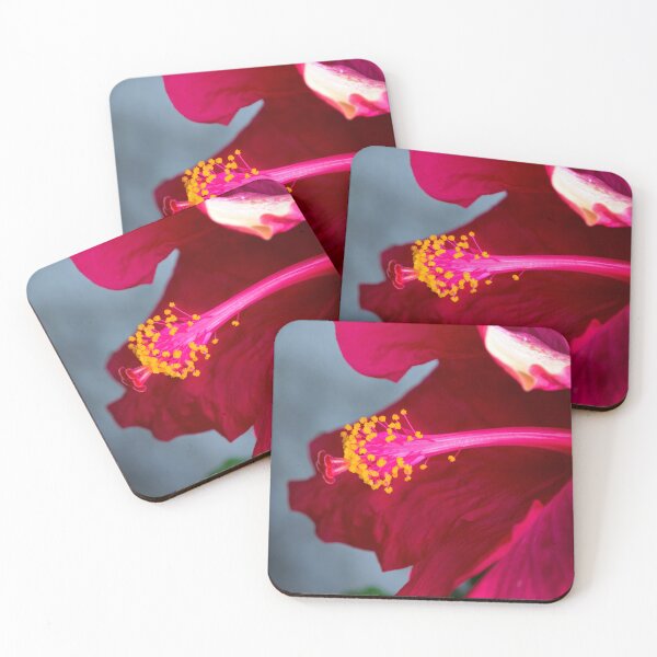 Item preview, A Gorgeous Hibiscus designed and sold by alabca.