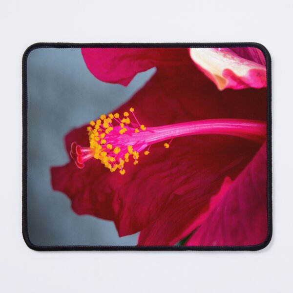 Item preview, A Gorgeous Hibiscus designed and sold by alabca.