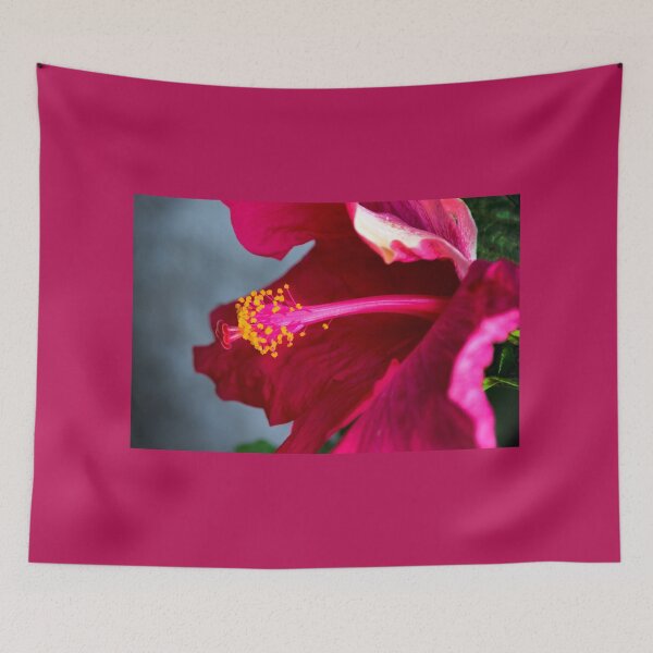 Item preview, A Gorgeous Hibiscus designed and sold by alabca.
