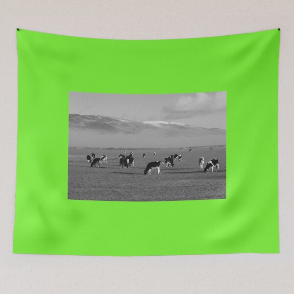 Item preview, Morning fog on the farm Inch Island Donegal Black and white designed and sold by eddiebarronshop.