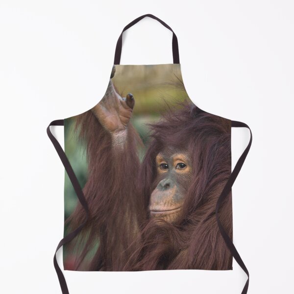 Item preview, Orangutan Kayan designed and sold by rawshutterbug.
