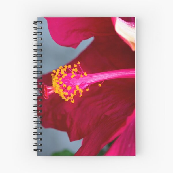 Item preview, A Gorgeous Hibiscus designed and sold by alabca.