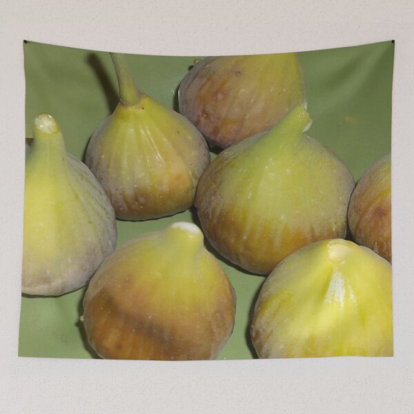 Item preview, Fresh Figs designed and sold by 3GHomestead.