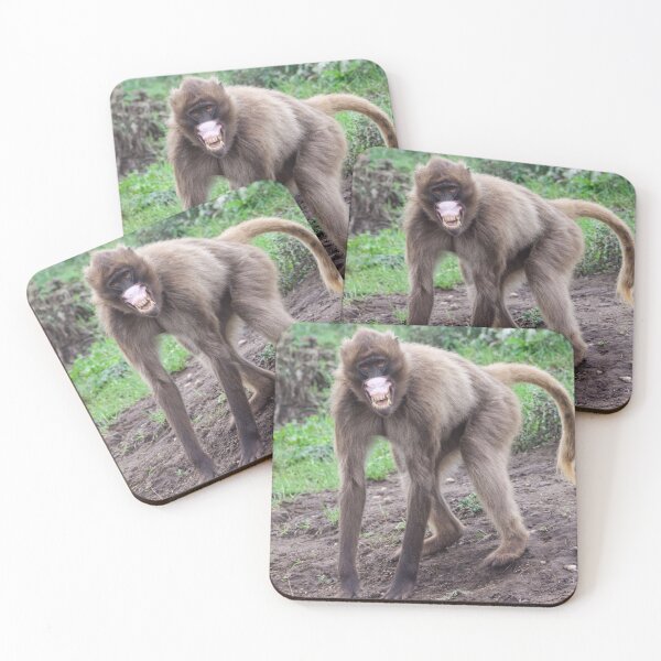 Item preview, Monkey Smiling for the Camera designed and sold by LFPPhotography.