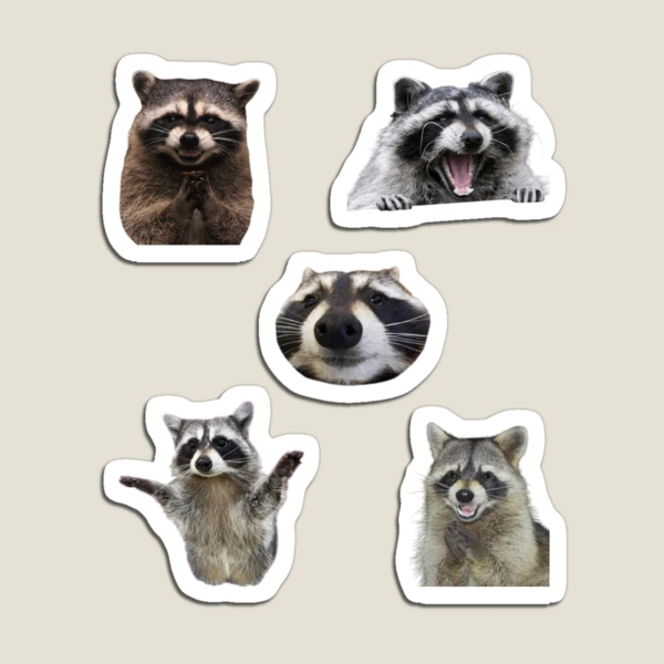 Raccoon Pack Sticker for Sale by lmmanning