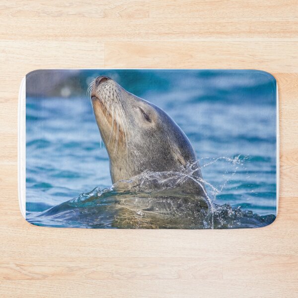 Item preview, Sea Lion Enjoying Life designed and sold by LFPPhotography.