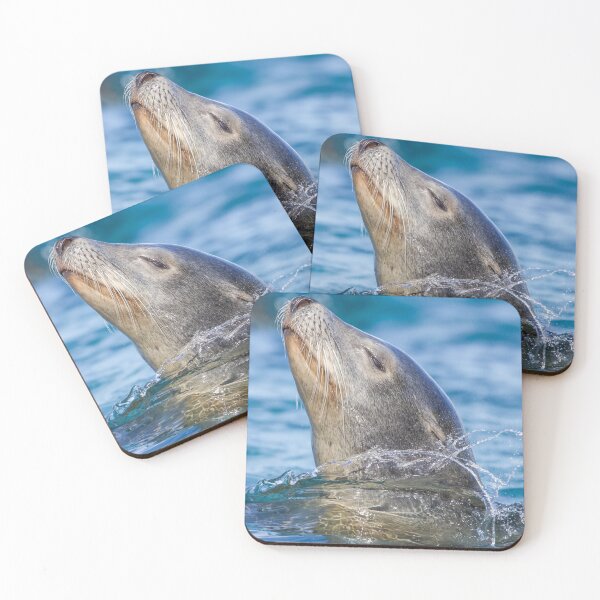 Item preview, Sea Lion Enjoying Life designed and sold by LFPPhotography.