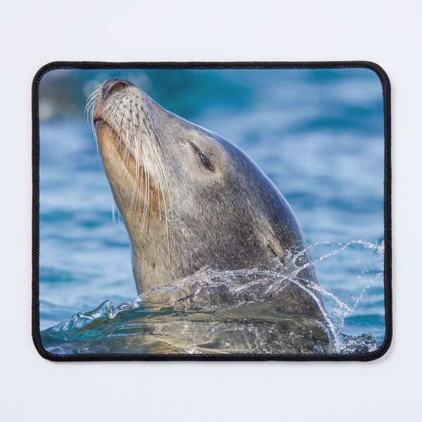 Item preview, Sea Lion Enjoying Life designed and sold by LFPPhotography.