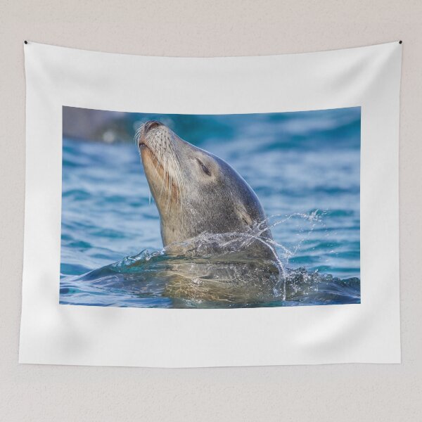 Item preview, Sea Lion Enjoying Life designed and sold by LFPPhotography.
