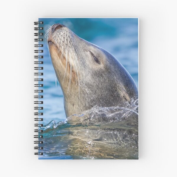 Item preview, Sea Lion Enjoying Life designed and sold by LFPPhotography.