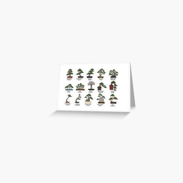 Item preview, Bonsai Styles Explained  designed and sold by surecanmakeit.