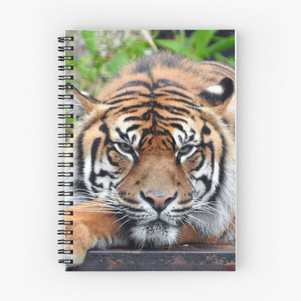 Item preview, Sumatran Tiger designed and sold by kirstybush.