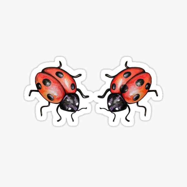 Coccinelle Sticker