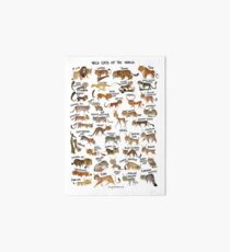 Wildkatzen der Welt Galeriedruck