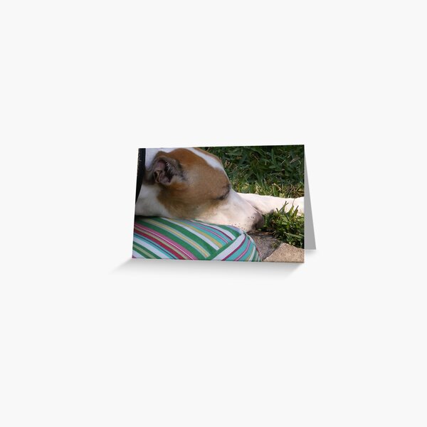 Lazy Day Greeting Card