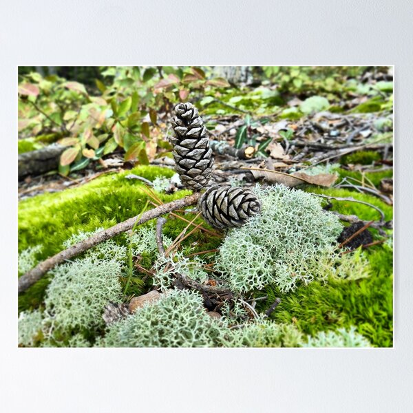 Item preview, Small Autumn Treasures designed and sold by James Brotherton.