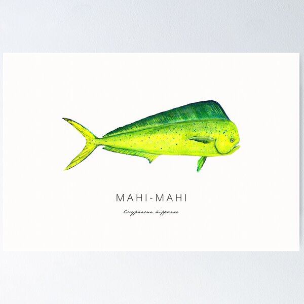 Item preview, MAHI MAHI - original art hand painted watercolor designed and sold by Melissa  MacMichael.