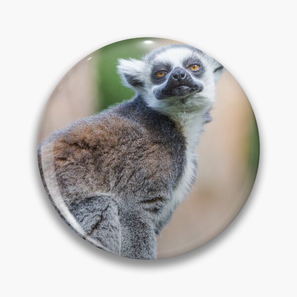 Item preview, Lemur Loving Life designed and sold by LFPPhotography.