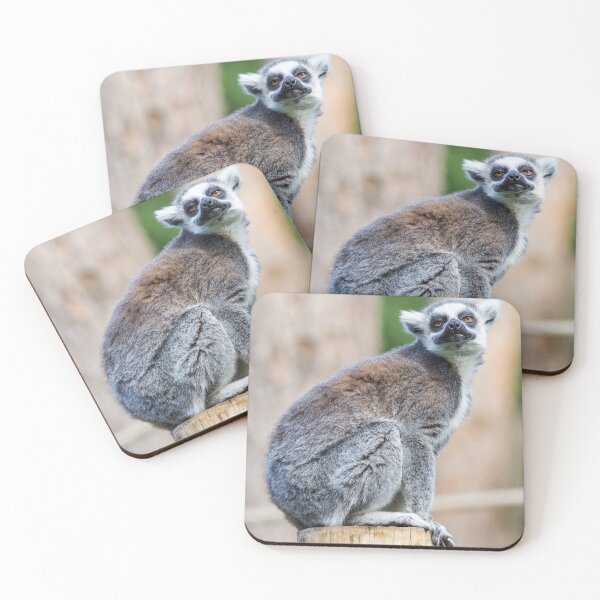 Item preview, Lemur Loving Life designed and sold by LFPPhotography.