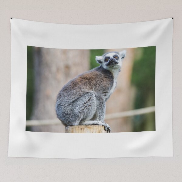 Item preview, Lemur Loving Life designed and sold by LFPPhotography.