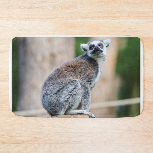 Item preview, Lemur Loving Life designed and sold by LFPPhotography.