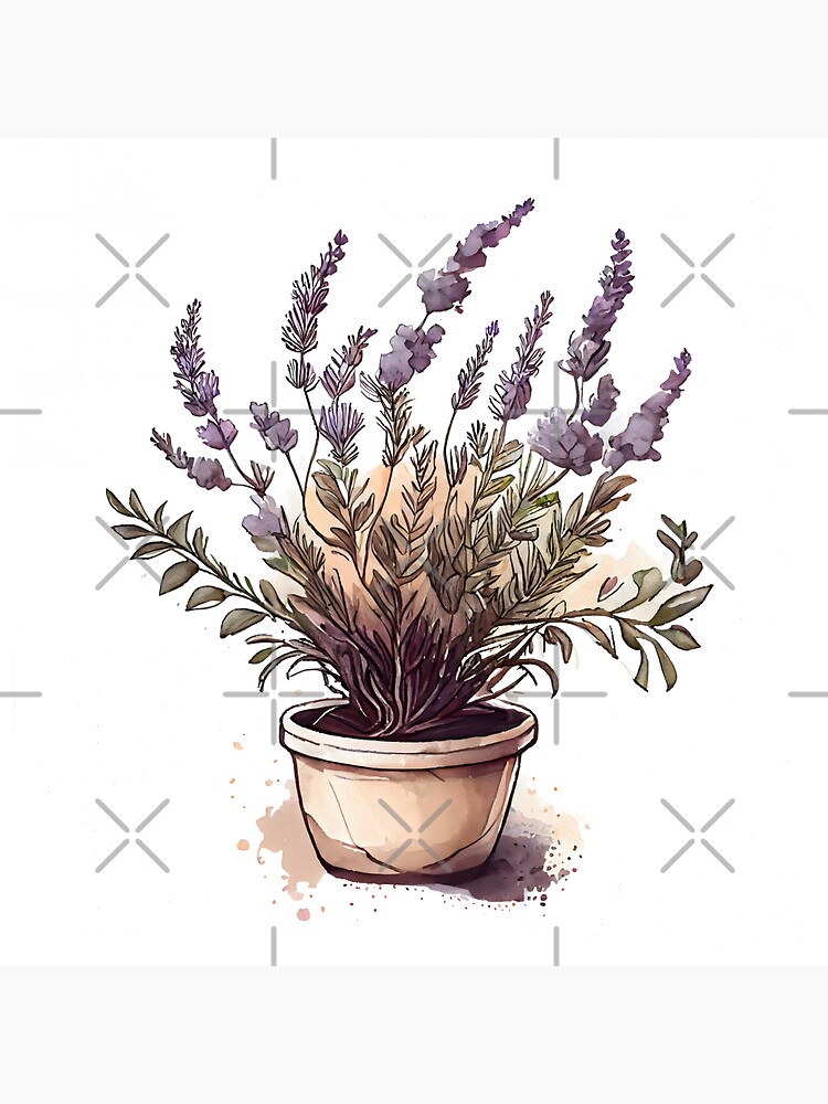 Calming Lavender Pot Plant Watercolor  Sticker for Sale by FlowersAndFlora