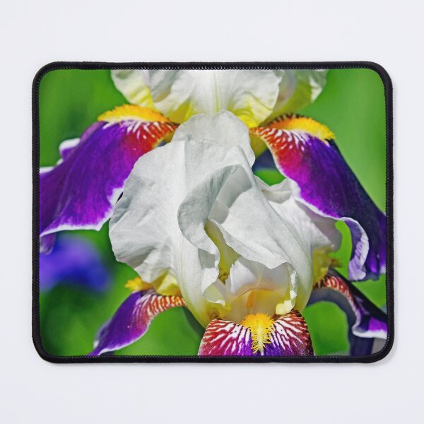 Item preview, Wabash Iris designed and sold by Deb Oppermann.