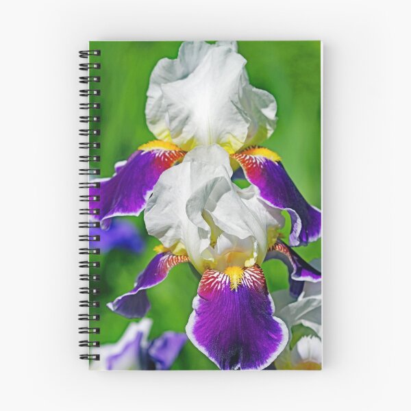 Item preview, Wabash Iris designed and sold by Deb Oppermann.