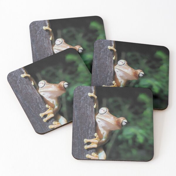 Item preview, Costa Rican tree frog designed and sold by Realpaulstewart.