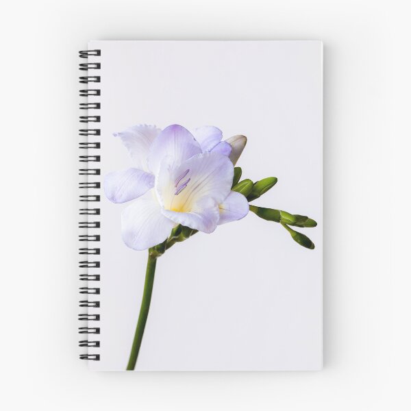 Item preview, Freesia Delight designed and sold by Tanya C  Smith.