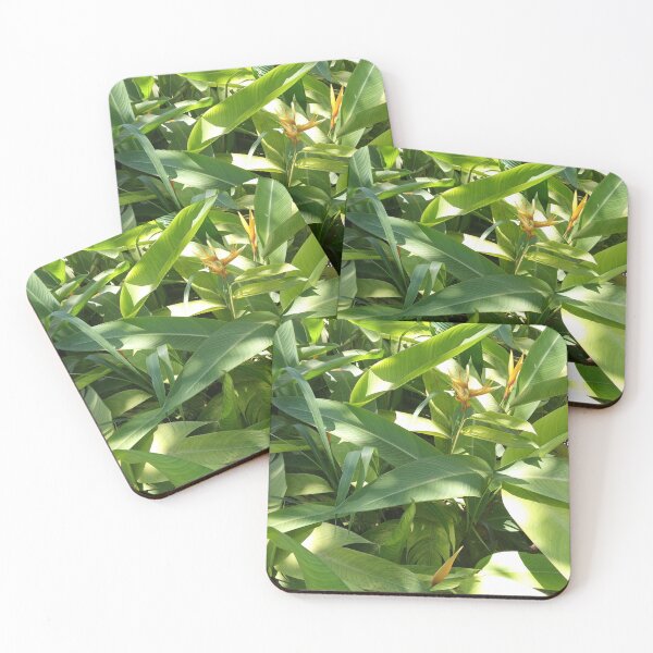 Item preview, Orange flower resting among leaves designed and sold by natureprint2023.