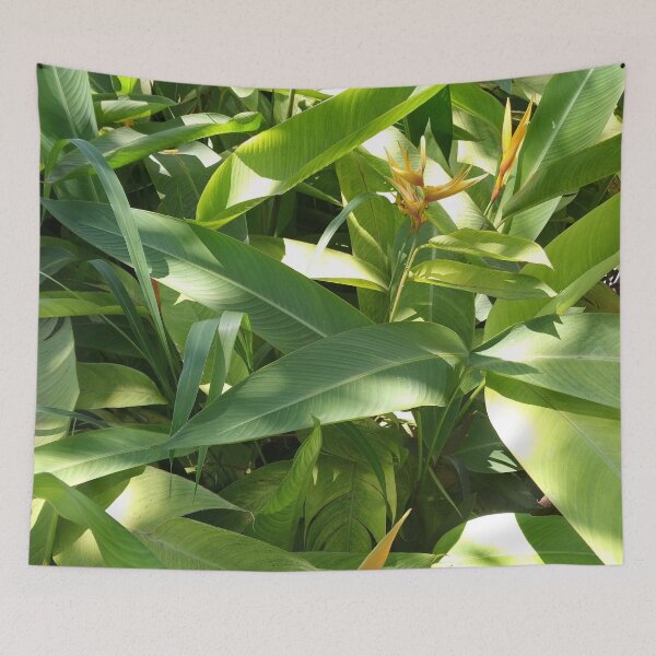 Item preview, Orange flower resting among leaves designed and sold by natureprint2023.