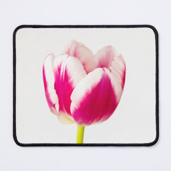 Item preview, Pink And White Tulip designed and sold by Tanya C  Smith.