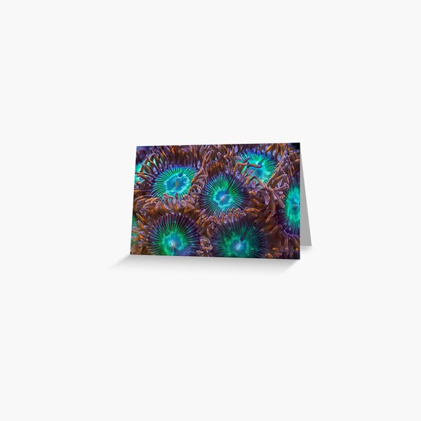 Zoanthids Greeting Card