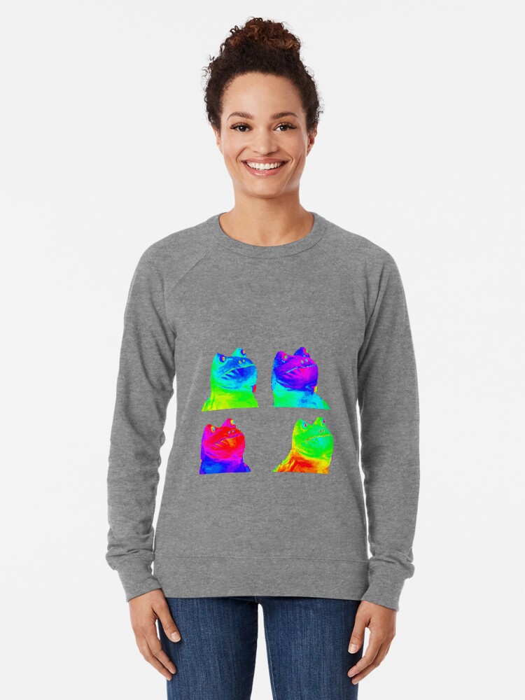 Mlg Rainbow Frog Lightweight Sweatshirt By Mgakowski Redbubble