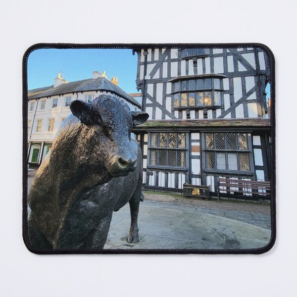 Item preview, Bull by old house in Hereford designed and sold by AnthonyThomas.