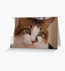 Picture me :) Greeting Card