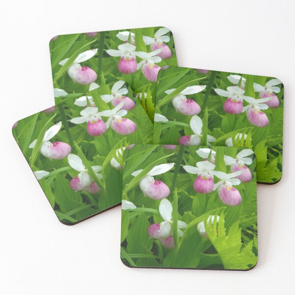 Item preview, Showy Lady's Slipper designed and sold by Betty Mackey.