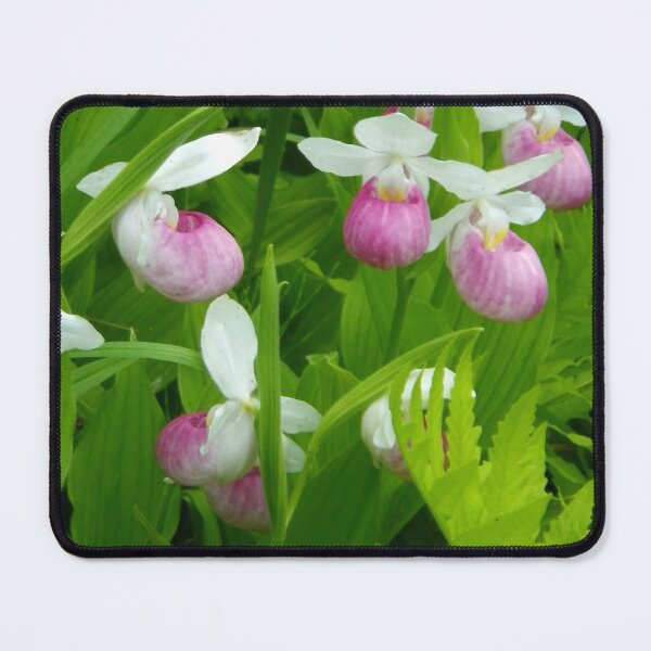 Item preview, Showy Lady's Slipper designed and sold by Betty Mackey.