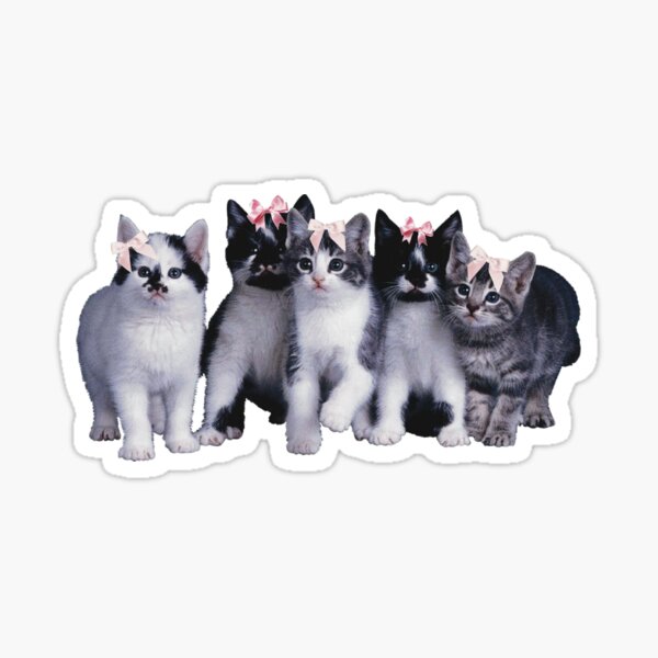 Item preview, coquette cats designed and sold by spoiledbratz.