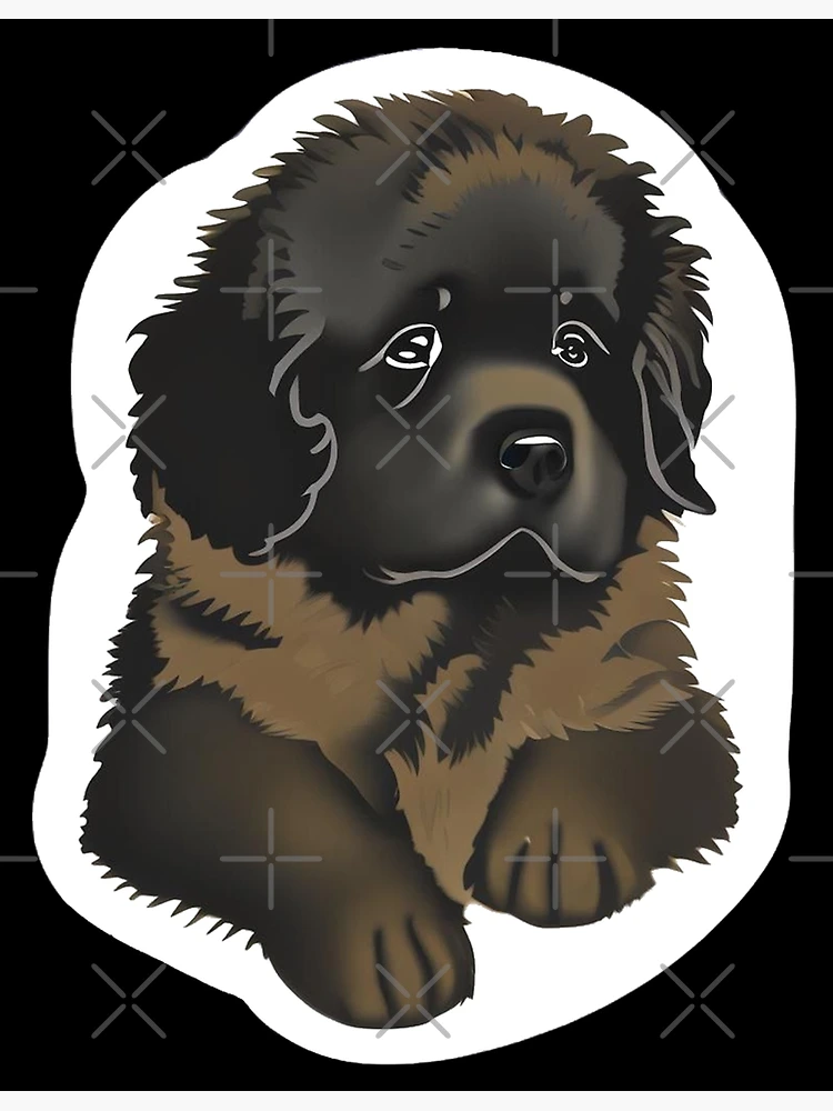 Gifts for newfoundland dog lovers best sale