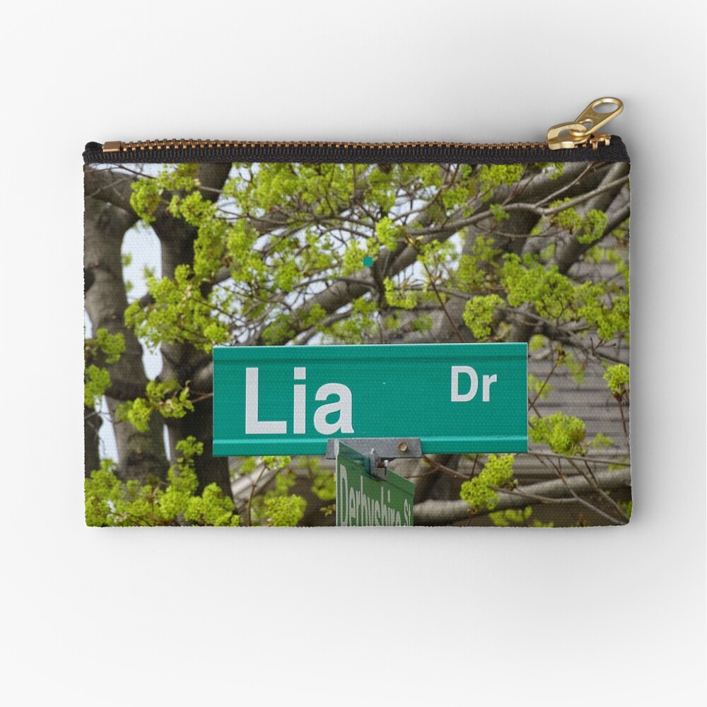 Lia Drive Zipper Pouch