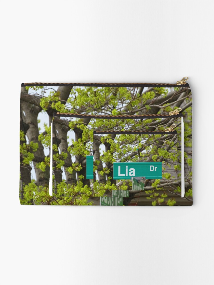 Alternate view of Lia Drive Zipper Pouch