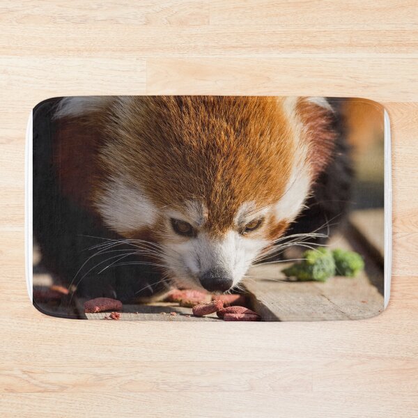 Item preview, Red Panda Enjoying its Morning Snack designed and sold by LFPPhotography.