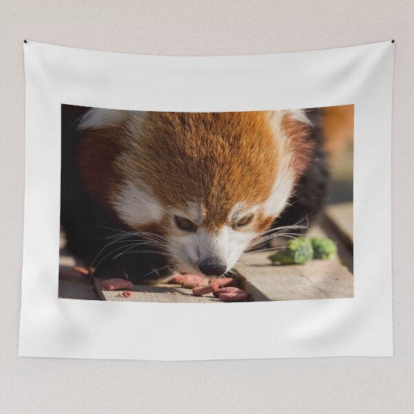 Item preview, Red Panda Enjoying its Morning Snack designed and sold by LFPPhotography.