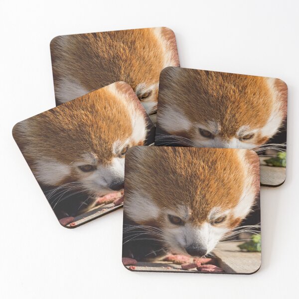 Item preview, Red Panda Enjoying its Morning Snack designed and sold by LFPPhotography.