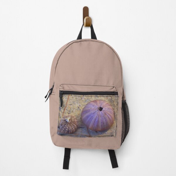Item preview, Sea Urchin Shells On The Beach designed and sold by Artisnaps.