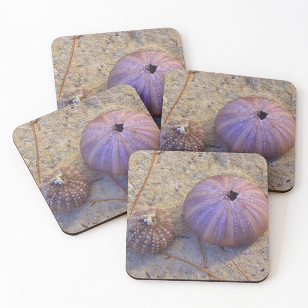 Item preview, Sea Urchin Shells On The Beach designed and sold by Artisnaps.